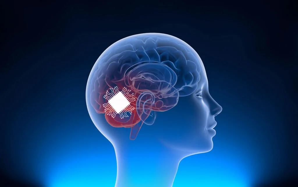 Digital illustration of a human head in profile with a transparent view of the brain, highlighting a specific area in red to indicate focus or damage.